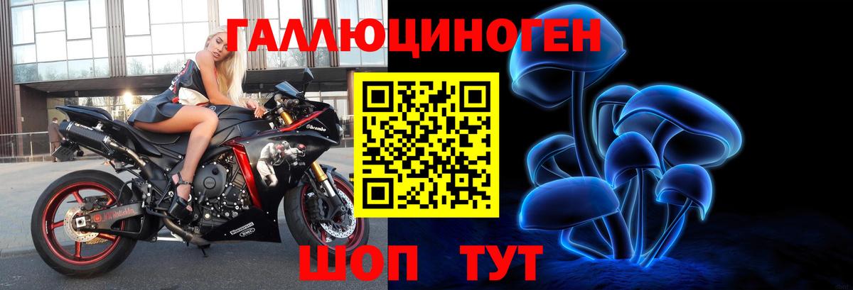 Псилоцибиновые грибы Psilocybine cubensis  Вход с VPN  Назрань 