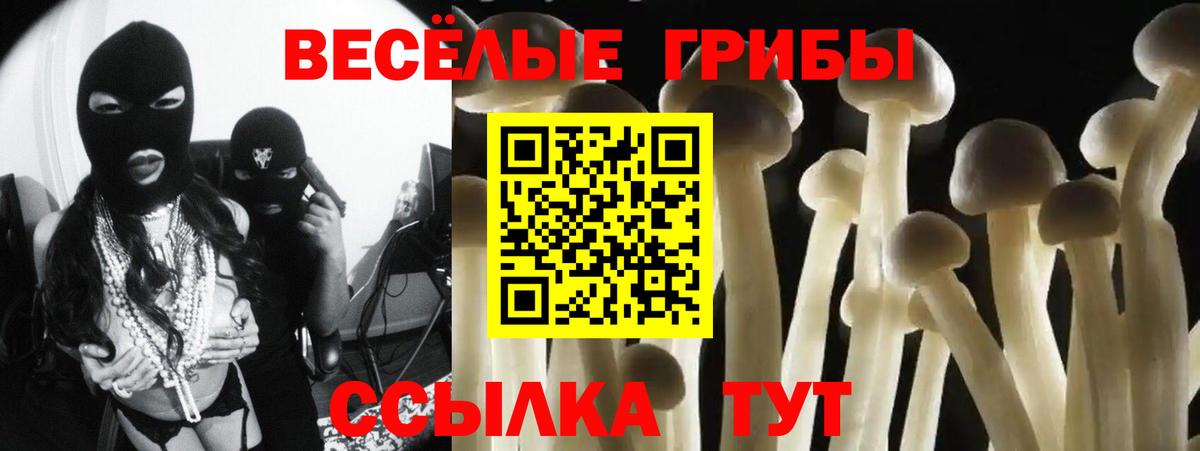 Псилоцибиновые грибы GOLDEN TEACHER Назрань
