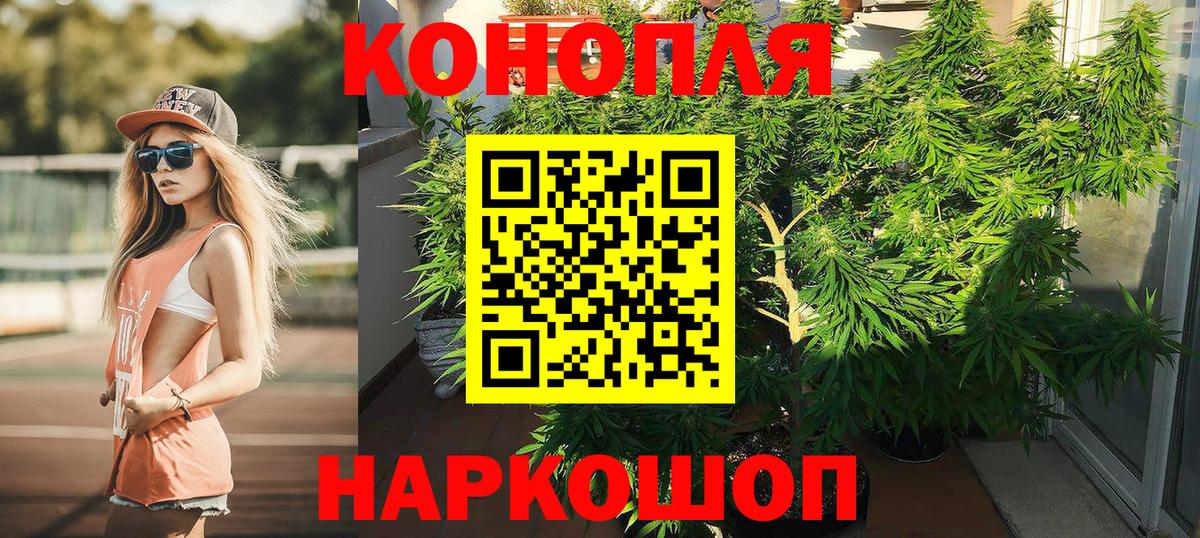 Конопля семена  Бошки Шишки индика  Вход с VPN  Назрань  Каннабис планчик 